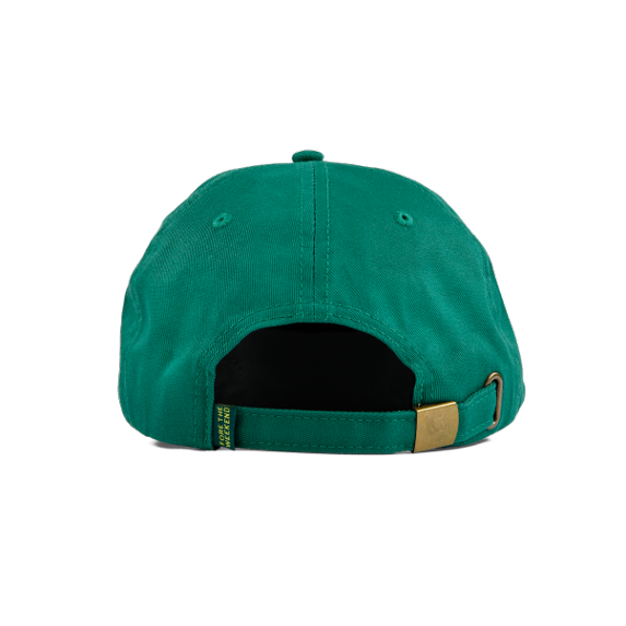 Dad Hat Green & Yellow Back Shot
