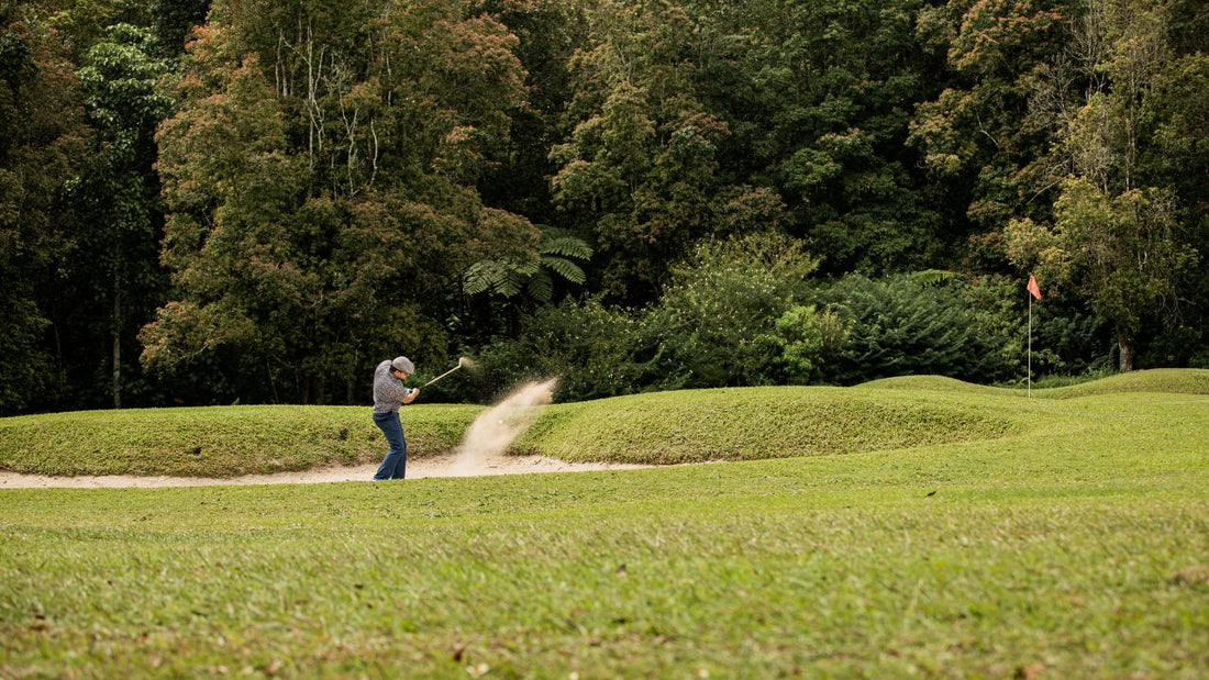 15 Golf Movies You Should Definitely Watch