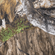 Big Rig | Mossy Oak Country DNA Camo